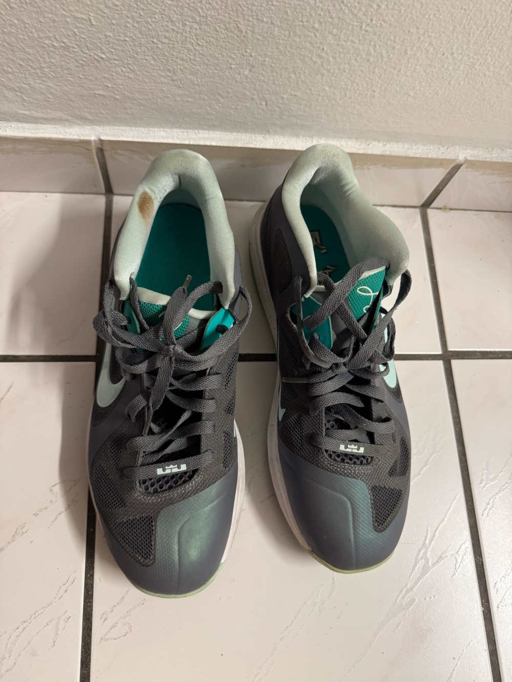 Nike LeBron 9 Low Easter